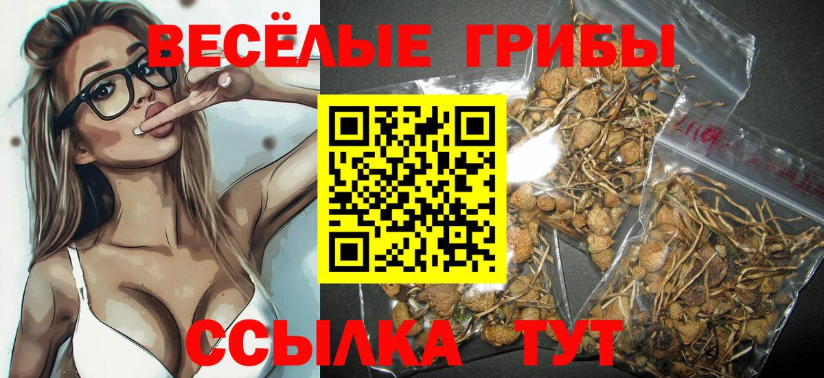 где можно купить наркотик  Галлюциногенные грибы мицелий  Вход с VPN  Нововоронеж 
