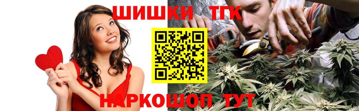 Каннабис сатива Нововоронеж
